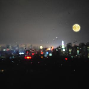 一区二区三区国产高清无码
