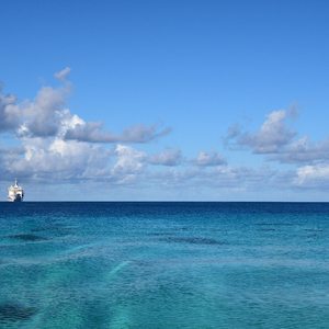 一区二区三区国产高清无码
